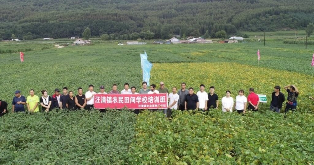 Un semillero argentino hace historia con la soja: su genética se siembra casi en el 50% del área global y ahora llegó a China