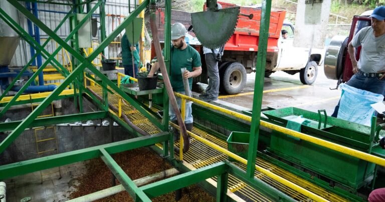 "Hay futuro para los jóvenes en la agricultura": los desafíos de la bioeconomía y el recambio generacional en el campo