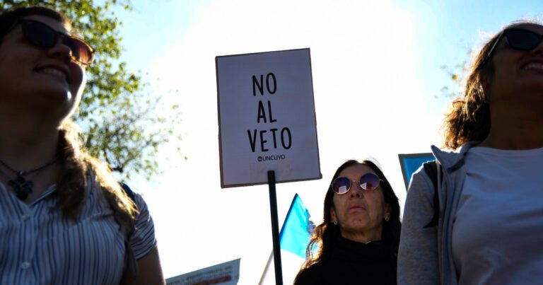 Qué dice y qué significa el veto a la ley de financiamiento universitario publicado en el Boletín Oficial