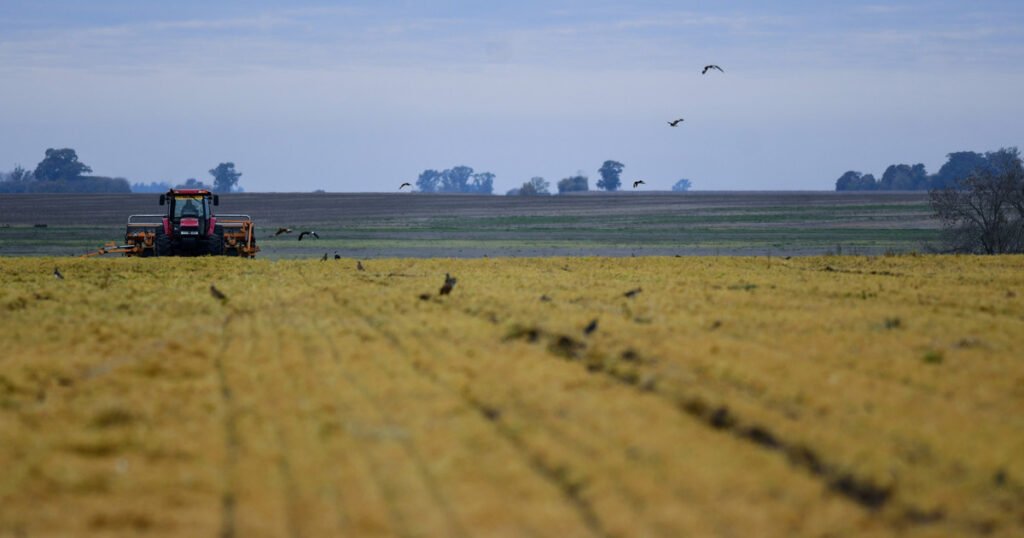 "Refugio de valor": el blanqueo de capitales impulsa la venta de campos y propiedades rurales