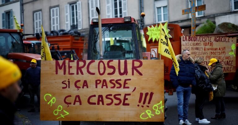 Francia: el Parlamento votará sobre el acuerdo del Mercosur con la UE ante la presión del campo