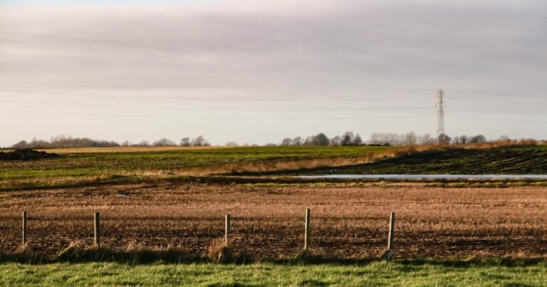 Afirman que el campo gana atractivo para los inversores inmobiliarios