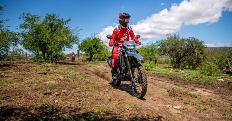 Análisis de la nueva Honda Tornado: cómo es el lado más off road de la sucesora de la XR250