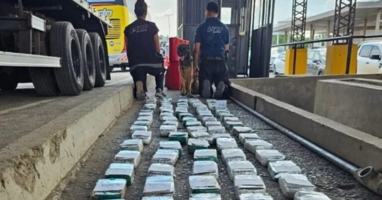 Interceptaron un camión que transportaba un cargamento de cocaína valuado en más de un millón de dólares