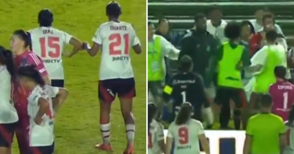 Escándalo: gestos racistas y batalla campal entre jugadoras de River y Gremio en Brasil