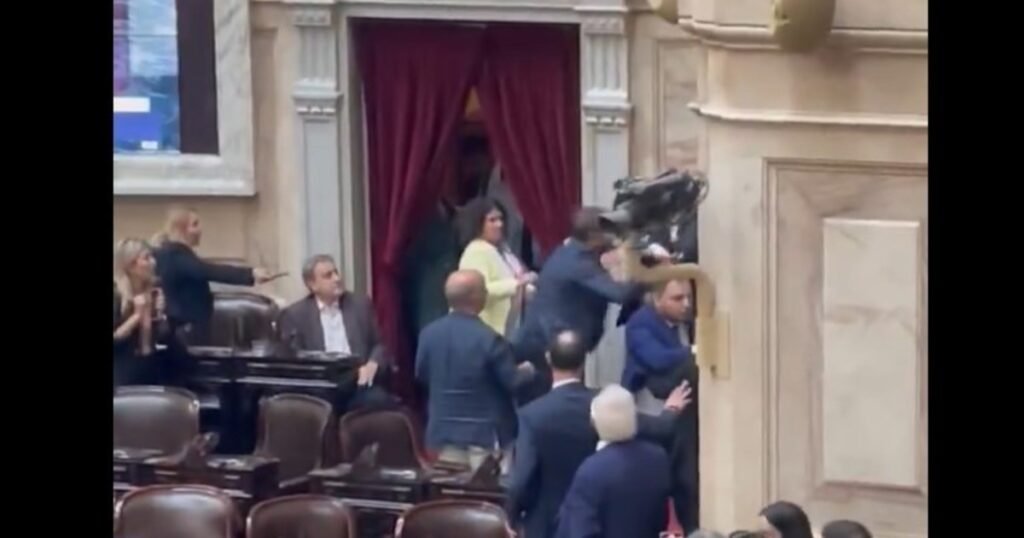 Los videos y las fotos del escándalo en Diputados: trompadas, gritos y la interna libertaria al rojo vivo