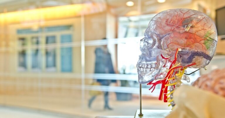 12 preguntas para mejorar la salud del cerebro según especialistas