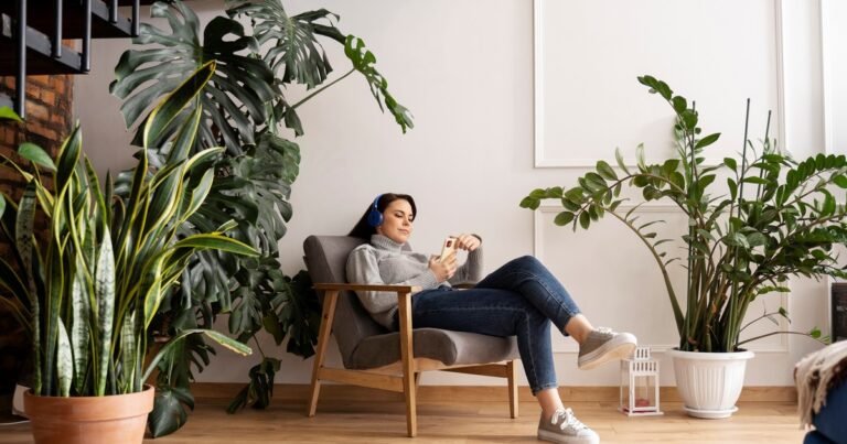 La favorita del diseño: la planta que conquista oficinas y hogares con su estilo atemporal