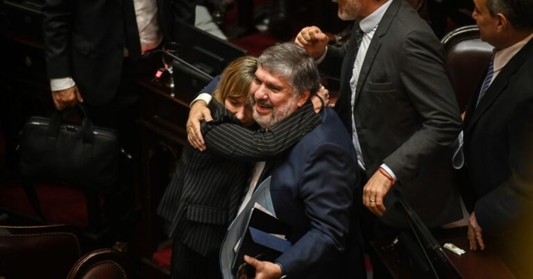 El Senado rechazó Ficha Limpia: los kirchneristas celebraron en el recinto con abrazos y aplausos