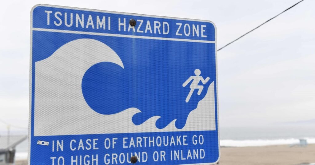 Científicos alertan sobre un "mega tsunami" con olas arrasadoras para tres regiones de Estados Unidos