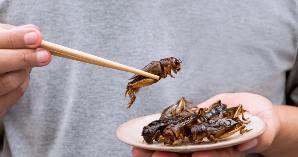 Cuál es el alimento menos consumido en el mundo