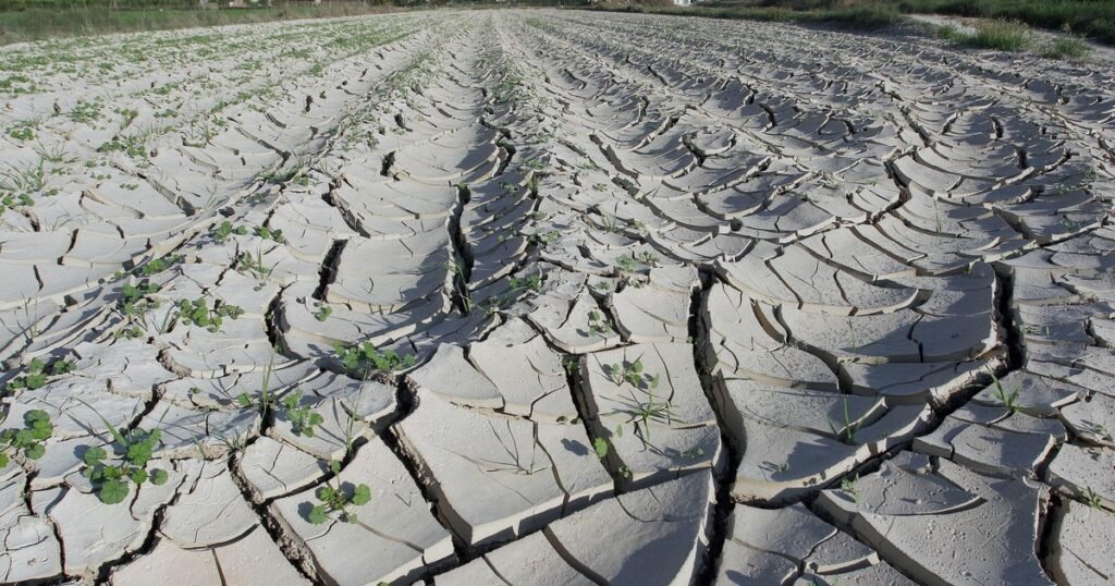 Cuál es la causa principal del aumento de los gases de efecto invernadero