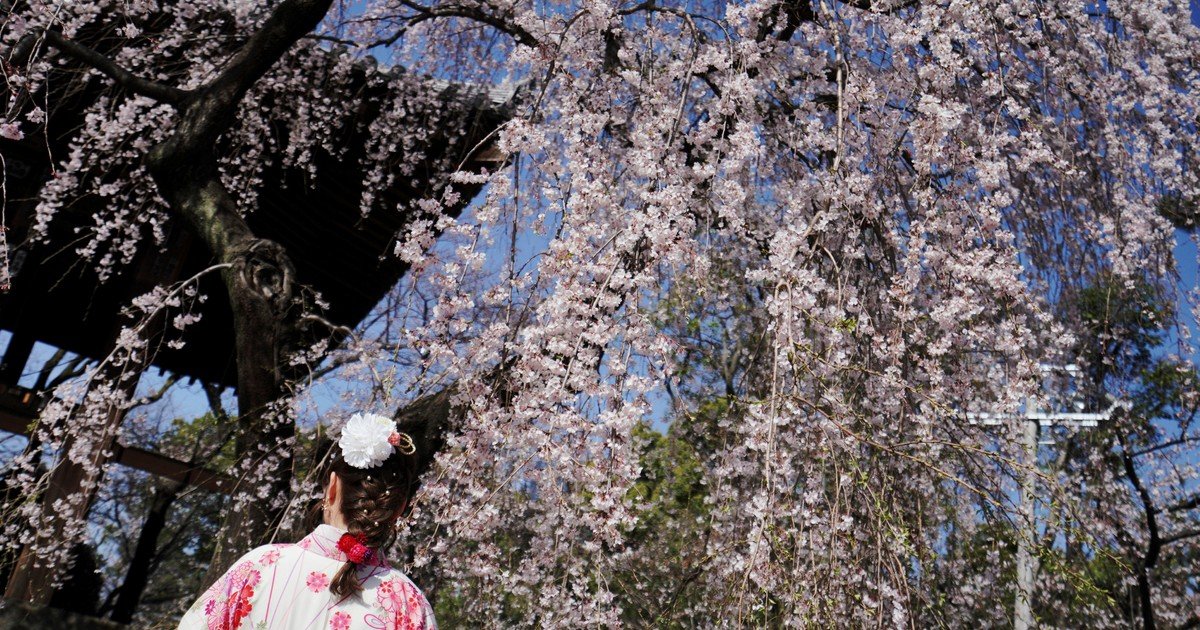 Un mapa para recorrer el encanto de la literatura japonesa