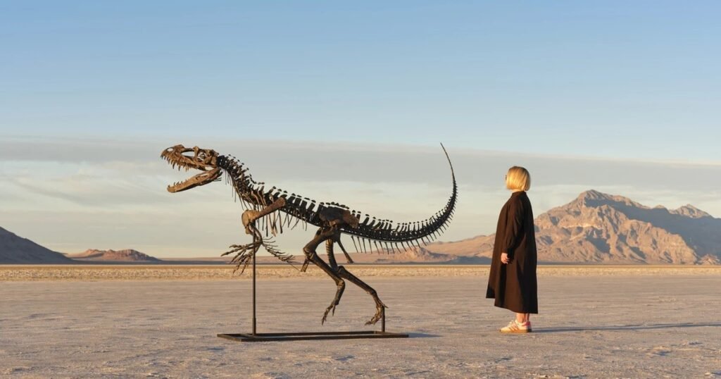 Sotheby's subasta el esqueleto de Ceratosaurus: El único ejemplar juvenil conocido