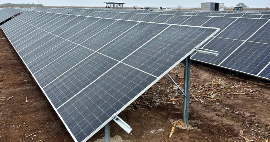 Una empresa modelo del agro cordobés sumó energía solar a su círculo virtuoso