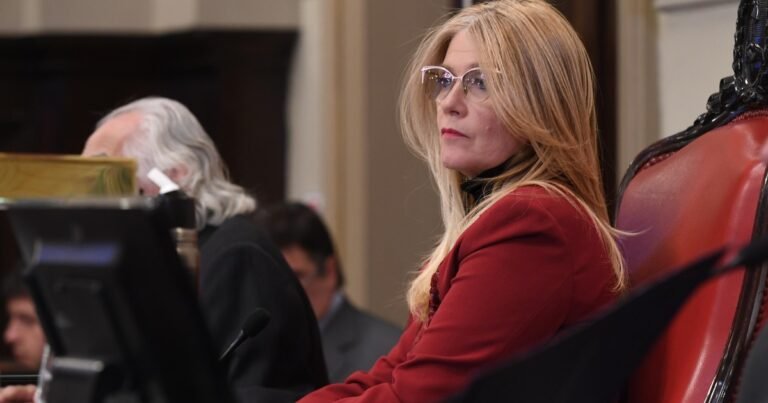 Con un furcio y una chicana a Cobos: así fue el momento en que Verónica Magario desempató la reelección indefinida en el Senado bonaerense