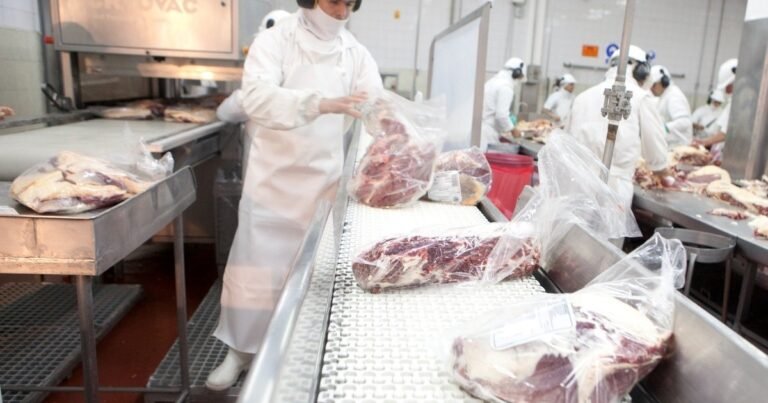 Ingresaron casi US$ 300 millones: las exportaciones de carne bovina crecieron en valor en mayo