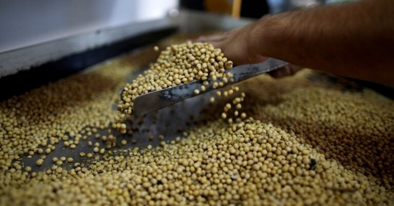 Previo a la suba de las retenciones, los productores aceleraron las venta de soja
