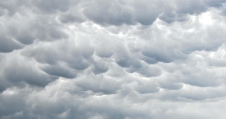 Clima hoy en General Pico, La Pampa: el pronóstico del tiempo para este miércoles 25 junio de 2025
