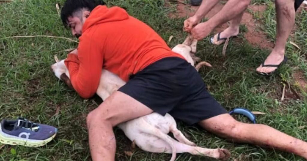Un experto en artes marciales fue atacado por dos pitbulls: los redujo con una toma y salvó su vida