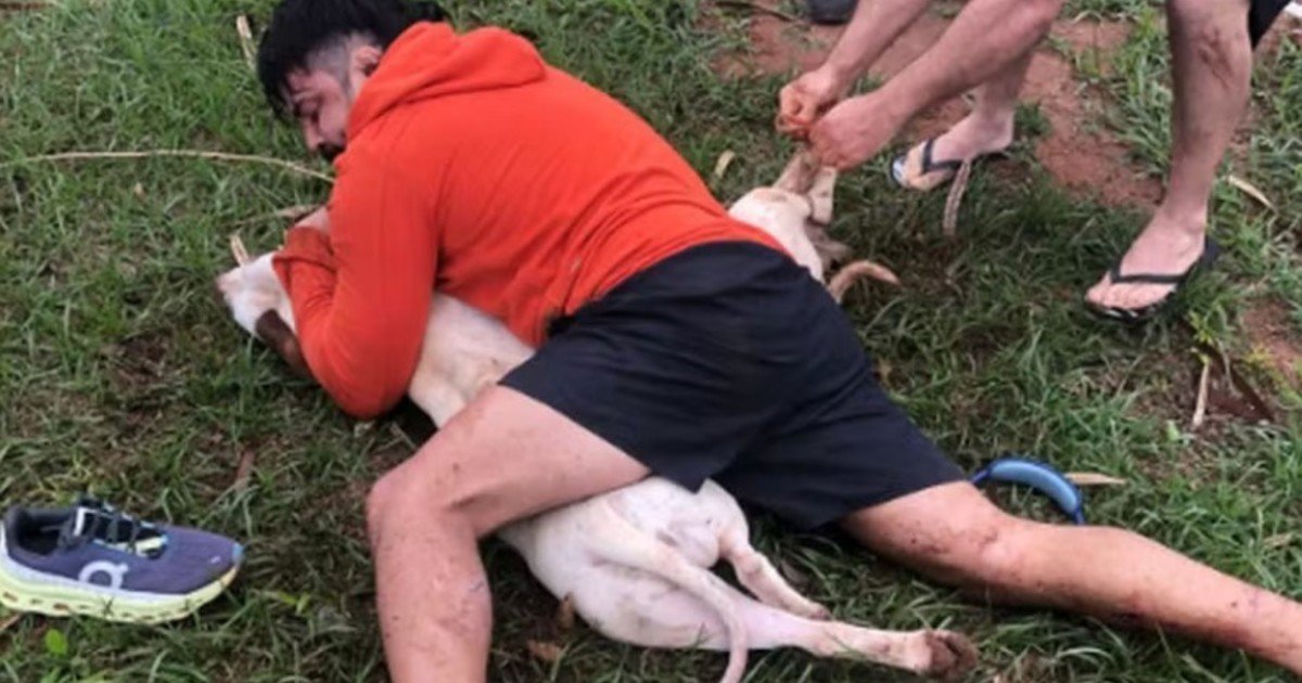 Un experto en artes marciales fue atacado por dos pitbulls: los redujo con una toma y salvó su vida