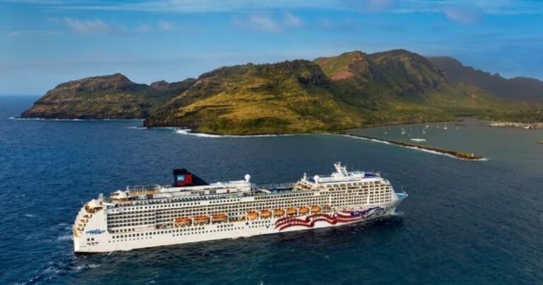 Estaban en un crucero por Hawaii, los sorprendió el alerta por tsunami y quedaron varados en tierra: "Nos dijeron que se iban, que no podían esperar"