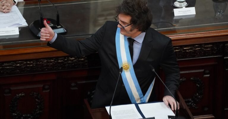 "Los espero el 11 de diciembre": Javier Milei desafió al Congreso y anticipó que irá a la Justicia si le rechazan los vetos