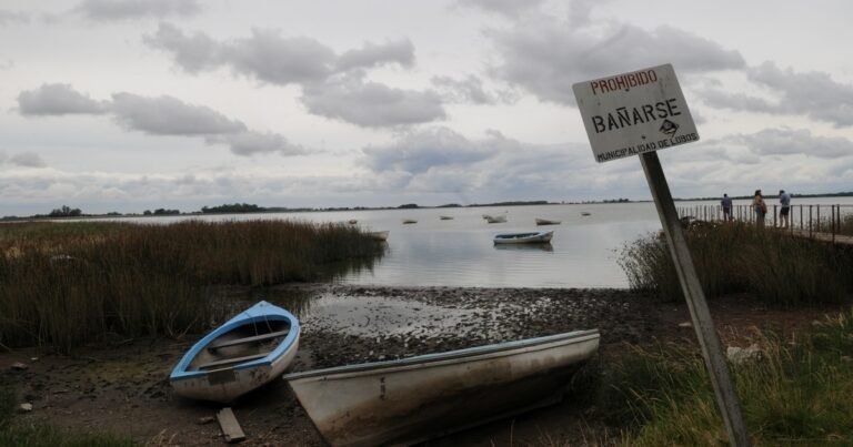 Cómo detectar si una playa tiene aguas contaminadas antes de meterte