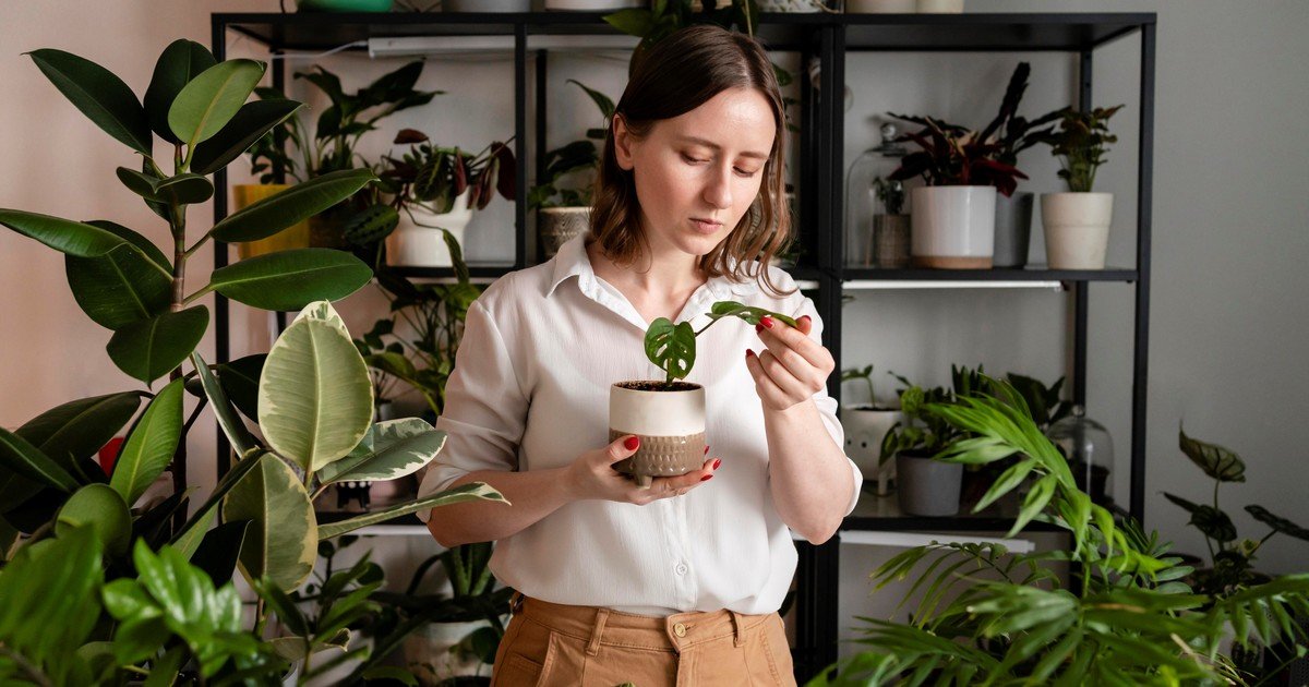 ¿Tenés muchas plantas en tu casa? Una experta en feng shui alerta sobre cómo podría afectar tu día a día