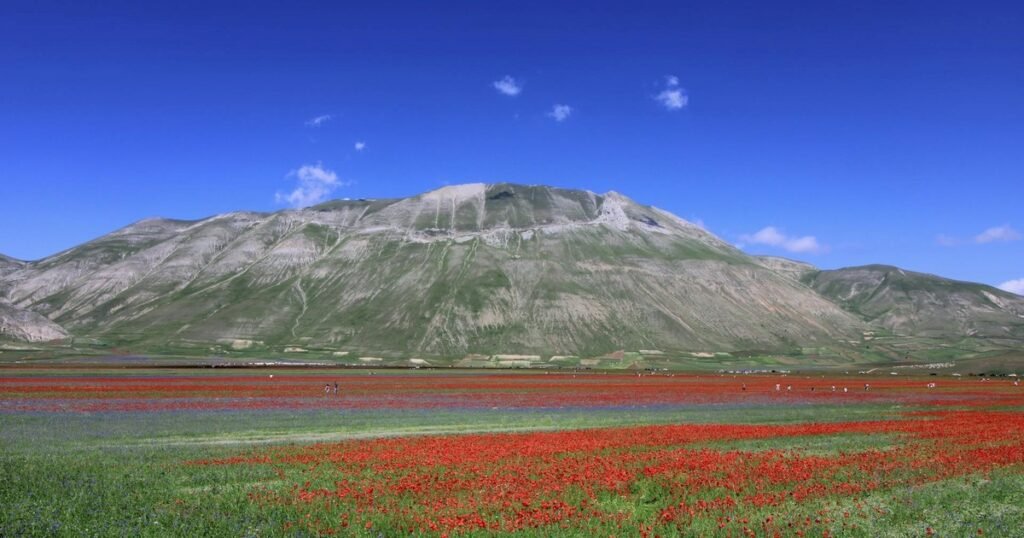 El pueblo de Italia que se transforma en un mar de flores cada primavera
