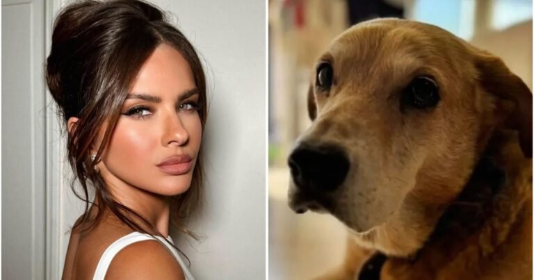 La China Suárez negó que su perro haya muerto electrocutado: su versión