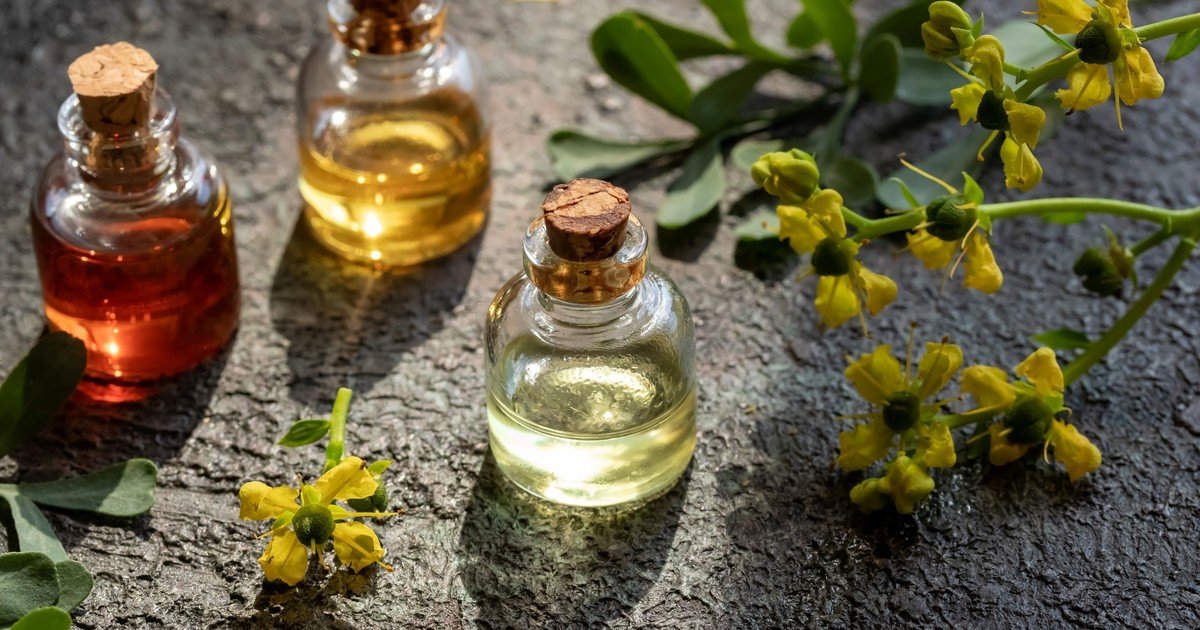 El viernes es el Día de la Pachamama: por qué hacer caña con ruda, para qué sirve el té y otras tradiciones del 1° de agosto
