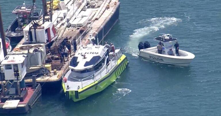 "Todos salieron volando": un nene contó cómo fue el choque de barcos en el que murió la nieta de Cris Morena en Miami