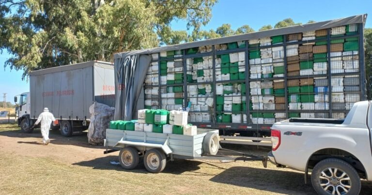 Se recuperaron 20 millones de kilos de envases vacíos de fitosanitarios y el plástico se recicla para 19 fines