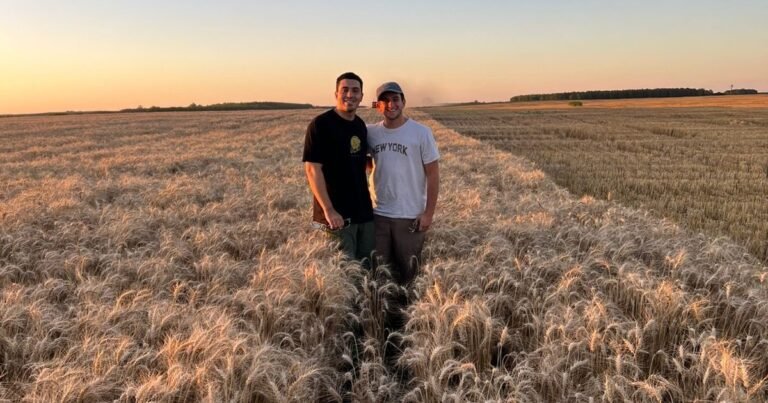 Dos amigos se unieron, desarrollaron un novedoso producto con el tallo de un cultivo y proyectan exportarlo