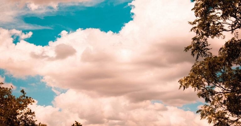 Clima hoy en Tampa, Estados Unidos: el pronóstico del tiempo para este martes 19 agosto de 2025