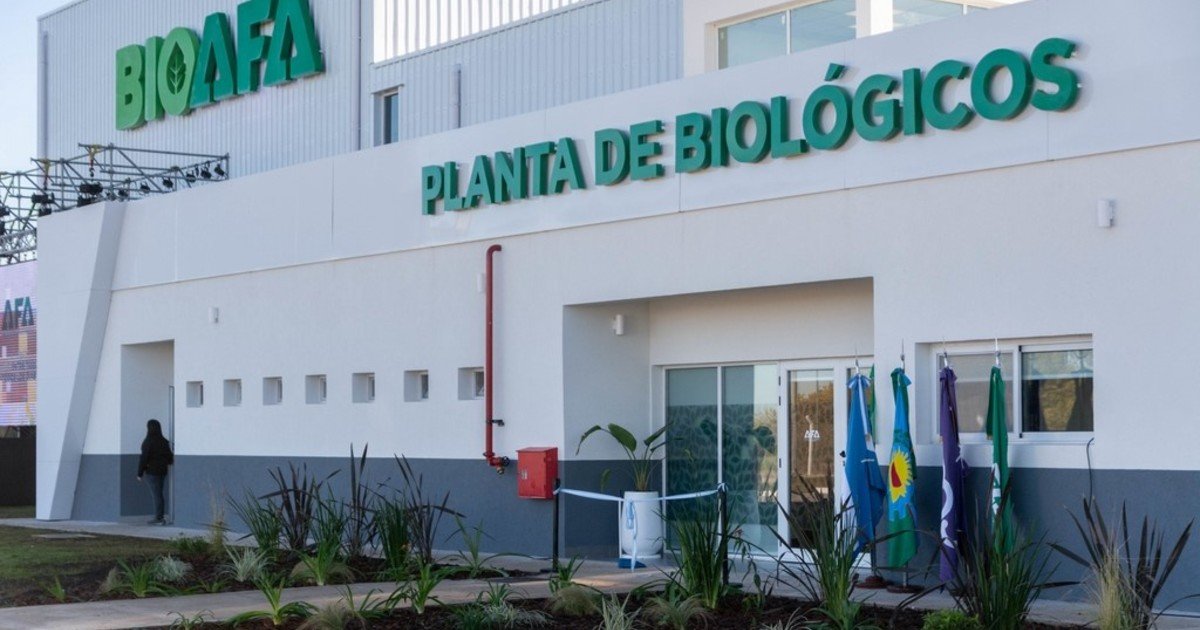 Una propuesta integral para los productores en el Congreso Internacional de Maíz 2025