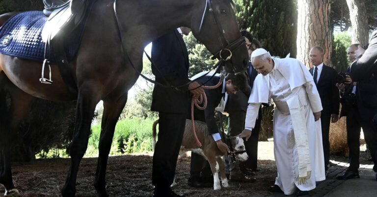 "El mar Mediterráneo debe ser un lugar de encuentro, no una tumba": fuerte mensaje del Papa León XIV sobre la migración en Europa
