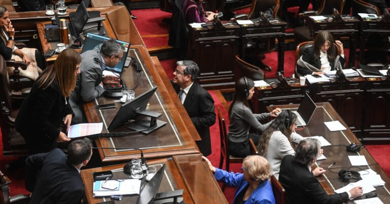 Garrahan y Universidades: la oposición confía en voltear los vetos y el oficialismo depende de gobernadores y aliados