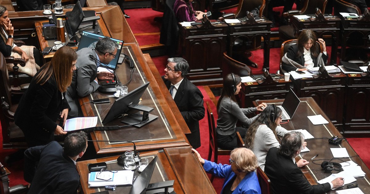 Garrahan y Universidades: la oposición confía en voltear los vetos y el oficialismo depende de gobernadores y aliados