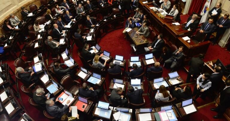 Qué se elige en las elecciones legislativas nacionales 2025