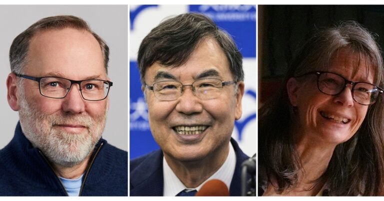 El Nobel de Medicina y una incógnita: por qué algunas enfermedades autoinmunes tienen tratamiento y otras no
