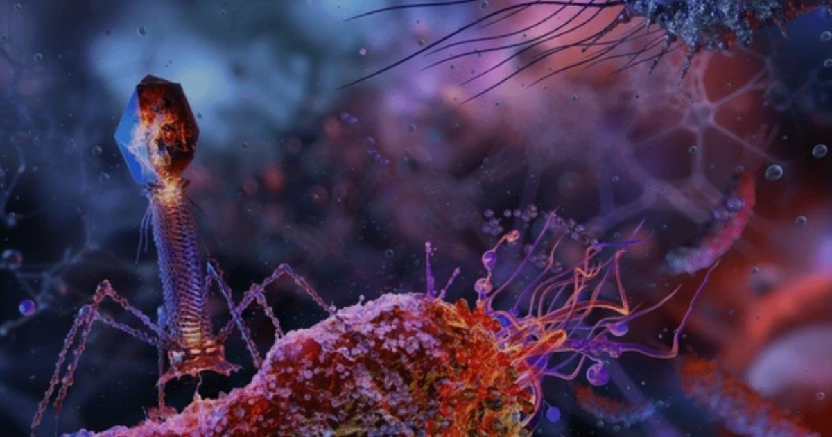 Por primera vez logran imágenes de un antibiótico aniquilando bacterias en tiempo real