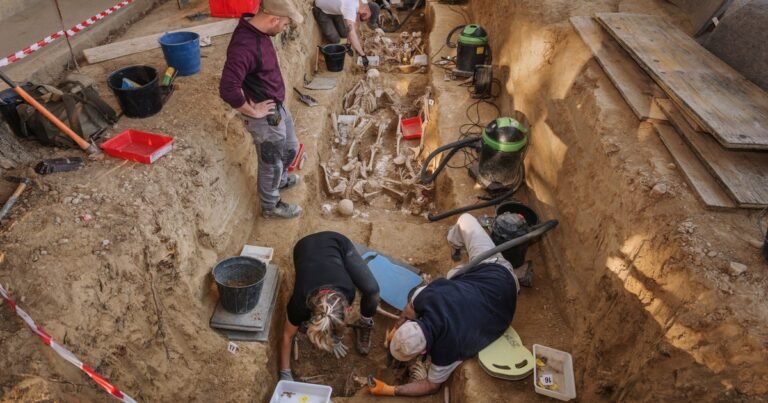 Los años de la Guerra Civil en España: el intento de recuperar identidades en las fosas comunes del franquismo