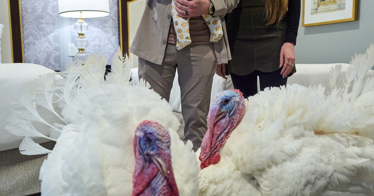 Trump viaja a Mar-a-Lago por Acción de Gracias: primero "indulta" a Waddle y Gobble, dos pavos en la Casa Blanca