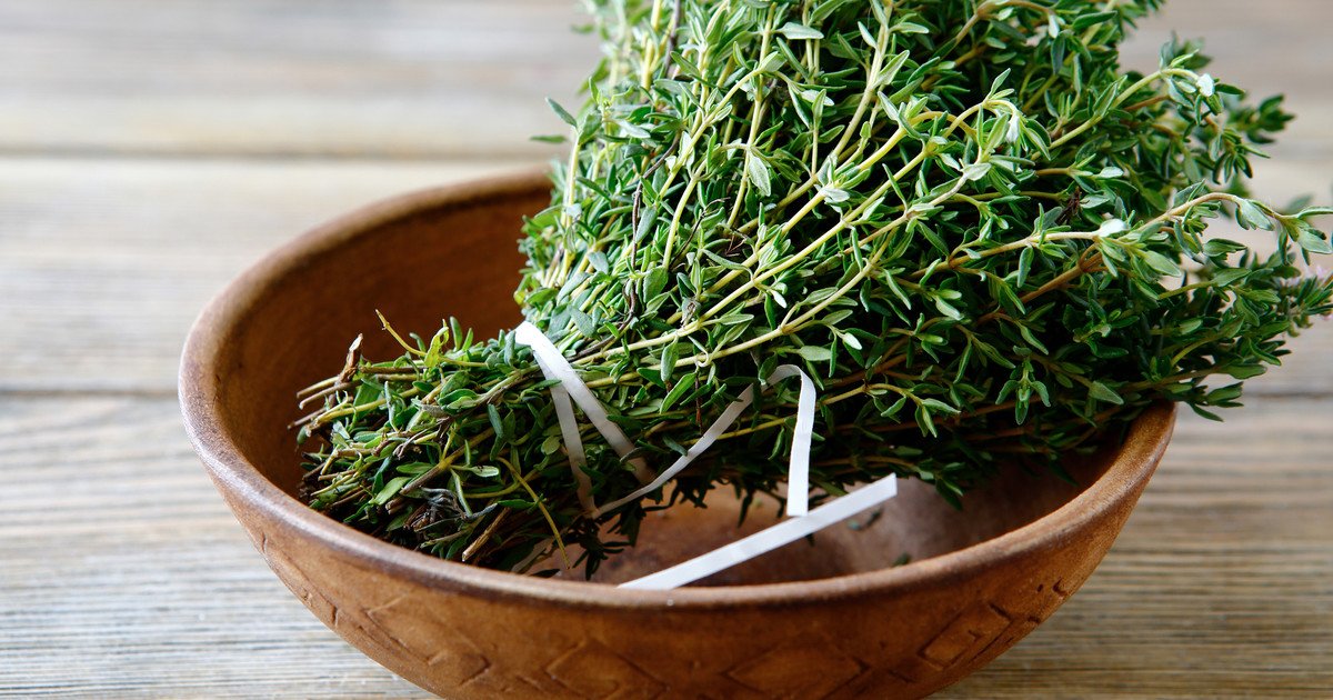 Cuáles son las propiedades curativas del tomillo