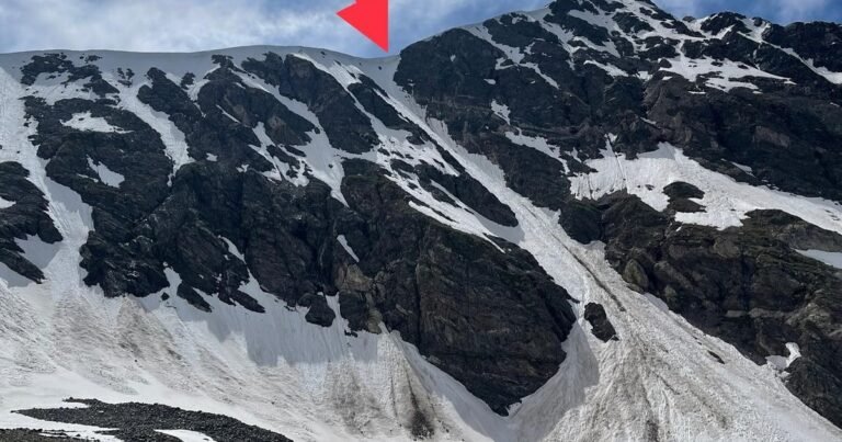Ven una mancha negra en una montaña y se dan cuenta de que es un perro