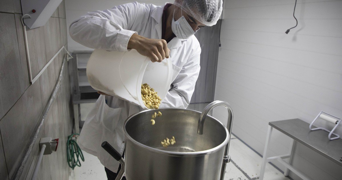 Reforma laboral: qué cambia en indemnización, vacaciones, horas extra, salarios y jornada laboral según el proyecto que Milei mandó al Congreso