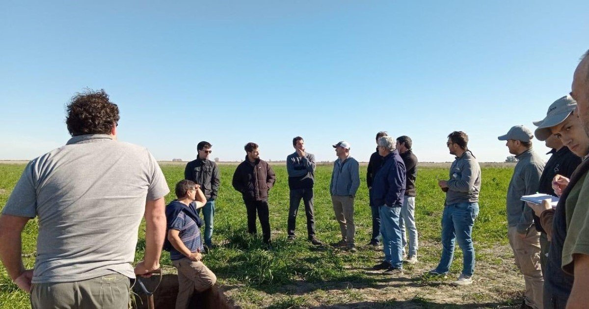 La voz de los productores tras la baja de retenciones