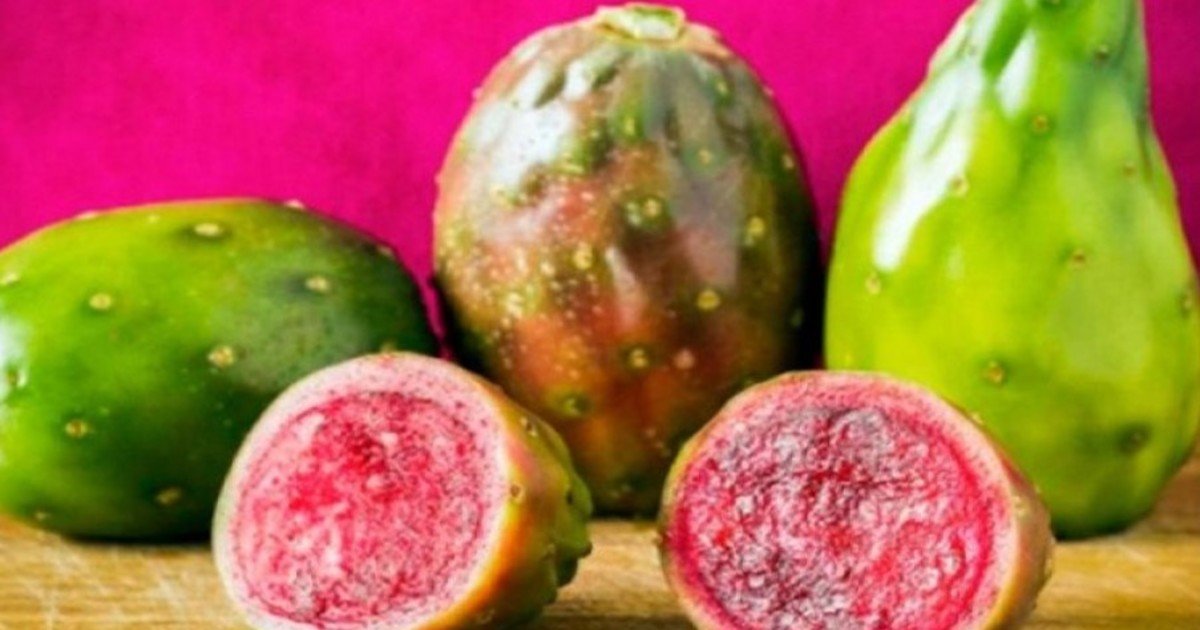 Receta de jugo de tuna: dulce, fresco y suave